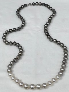 Tahitian and South Sea Ombre Necklace