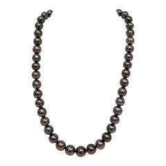 Tahitian Aubergine Near-Round Pearl Necklace with Gold Clasp