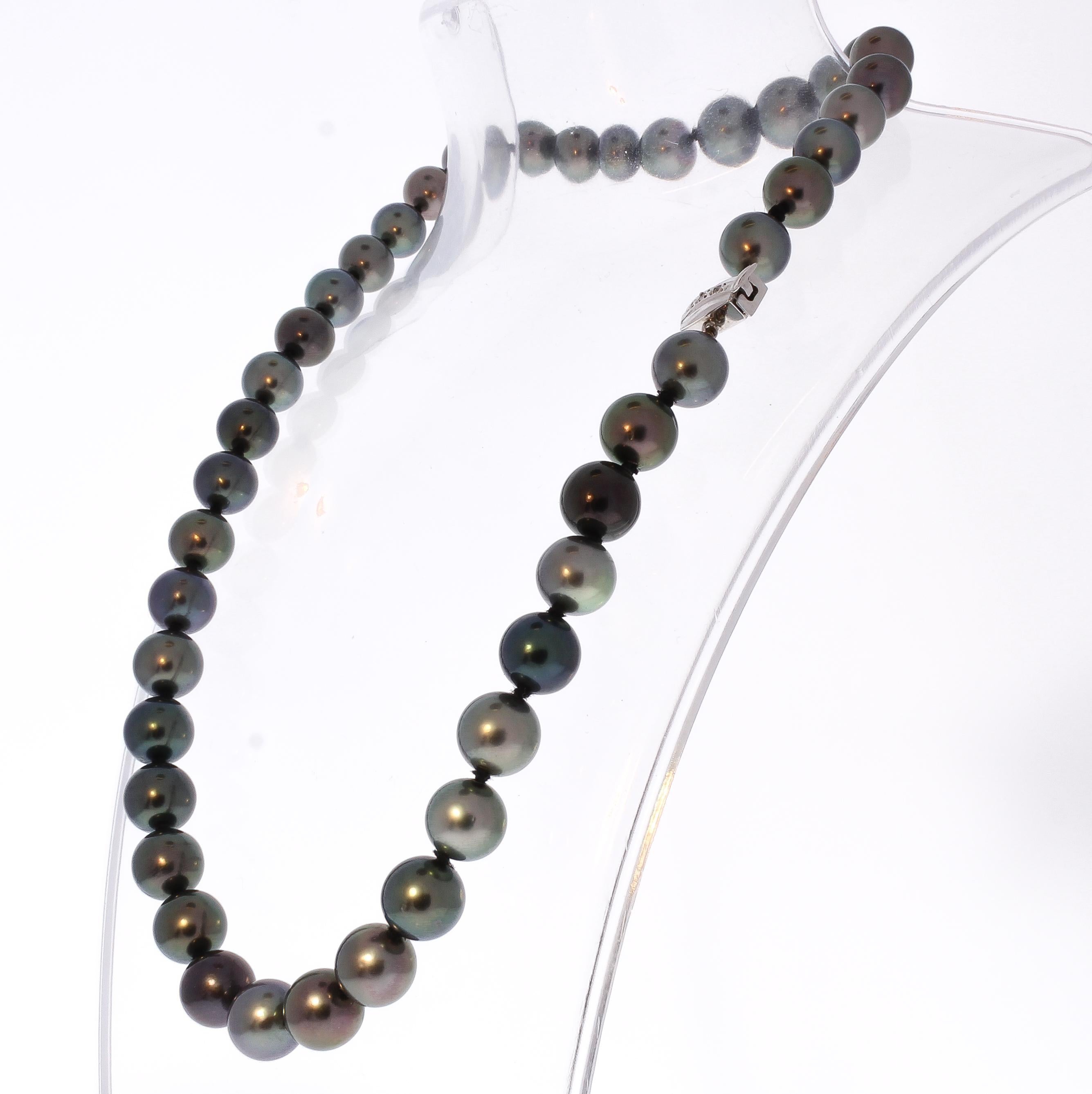 Round Cut Tahitian Black Pearl and Diamond 14 Karat White Gold Necklace