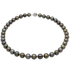 Tahitian Black Pearl Necklace with 14 Karat White Gold Ball Clasp