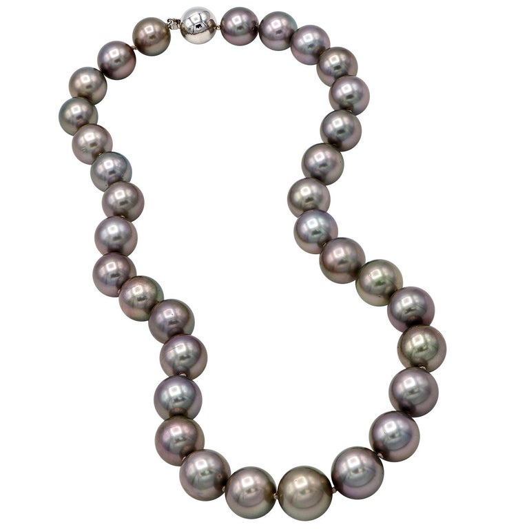 Tahitian Black Pearl Strand with Pink Undertones with a 14 Karat Ball