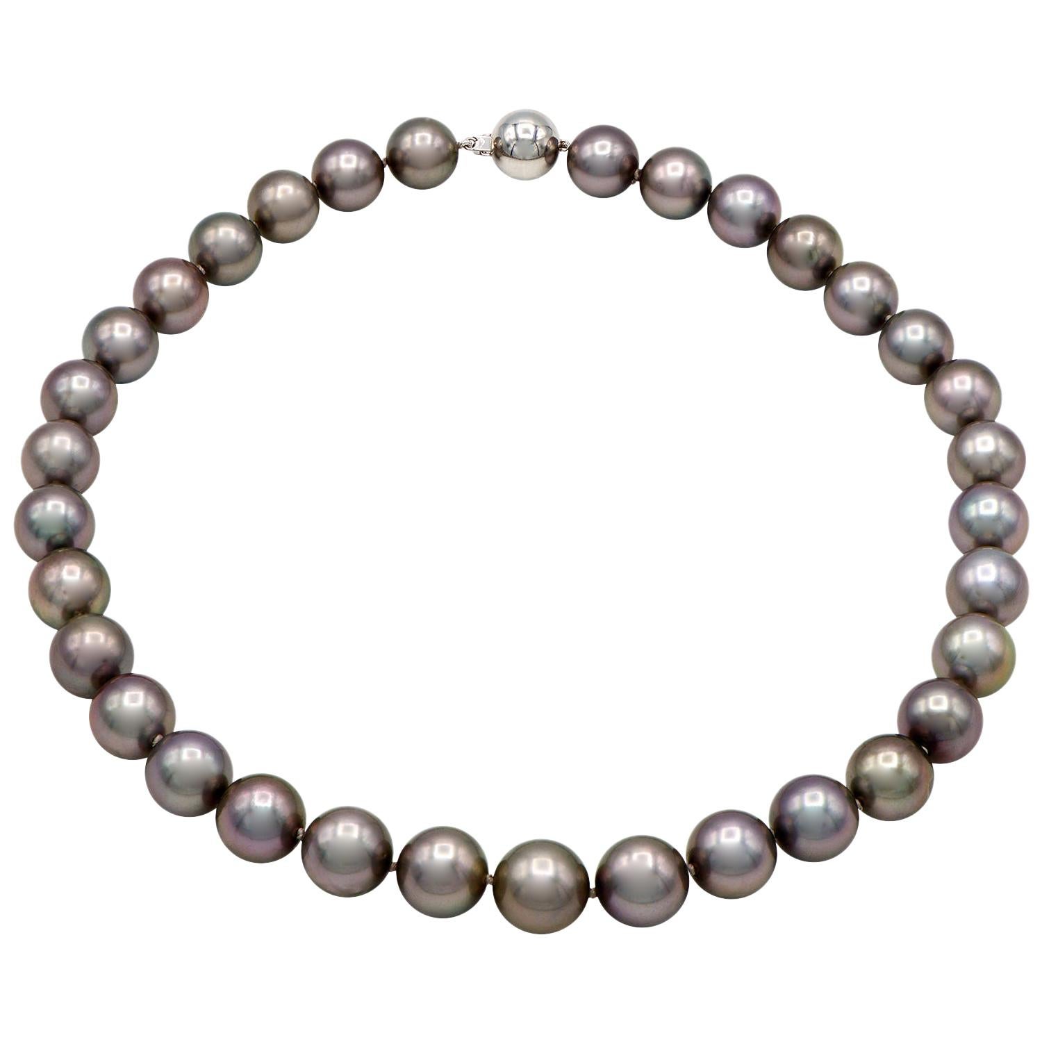 Tahitian Black Pearl Strand with Pink Undertones with a 14 Karat Ball Clasp For Sale