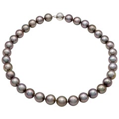 Vintage Tahitian Black Pearl Strand with Pink Undertones with a 14 Karat Ball Clasp