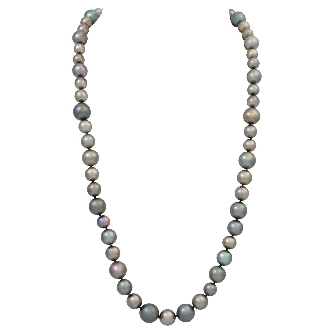 Tahitian Cultured Pearl Necklace For Sale