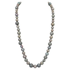 Tahitian Cultured Pearl Necklace