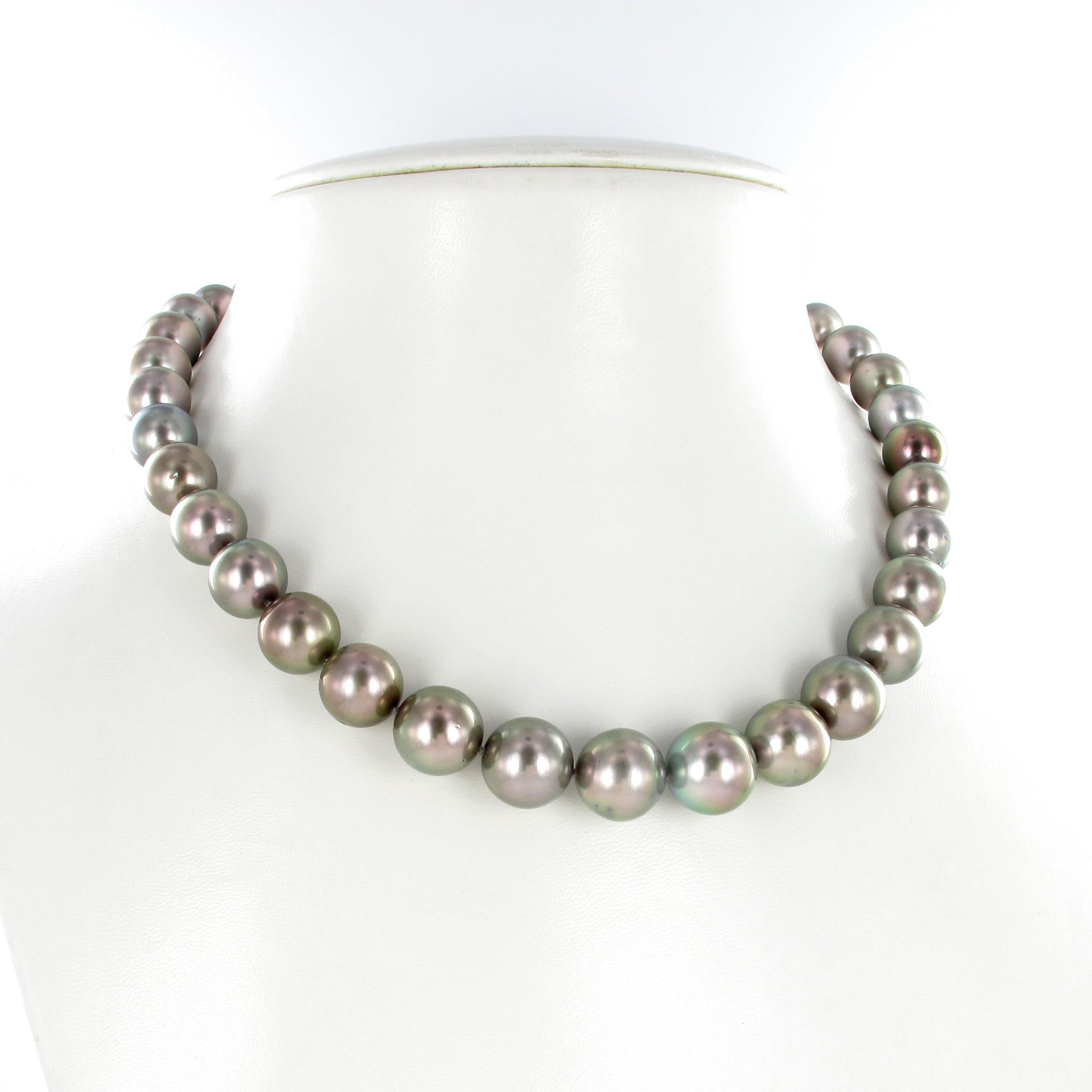 karutora pearl necklace price