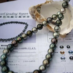 Tahitian Cultured Pearl Strand 11-13.5 mm multicolor AAA+-AAA Certificate