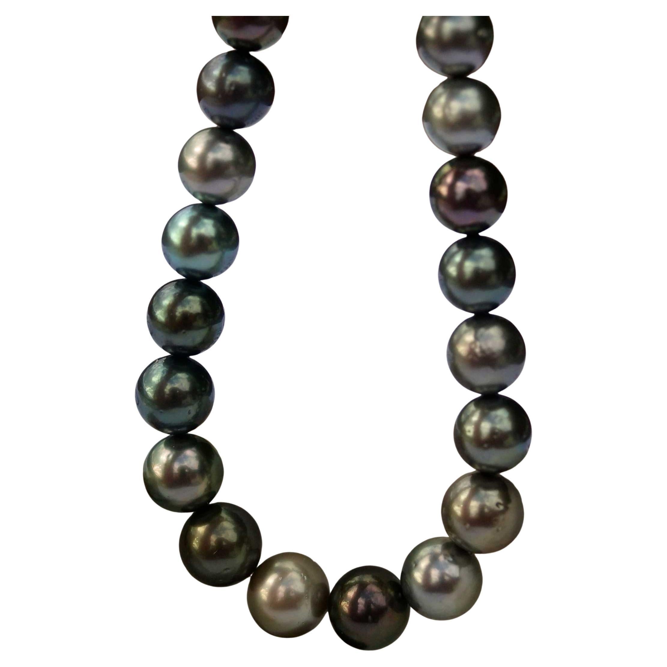 Tahiti-Zuchtperlenstrang 11-13,5 mm multicolor AAA+-AAA Zertifikat