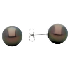 Orecchini con perle di coltura di Tahiti in oro bianco 18 carati (9,0-9,3 mm)