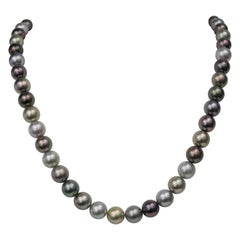 Tahitian Fancy Multi Color Round Necklace with Gold Clasp