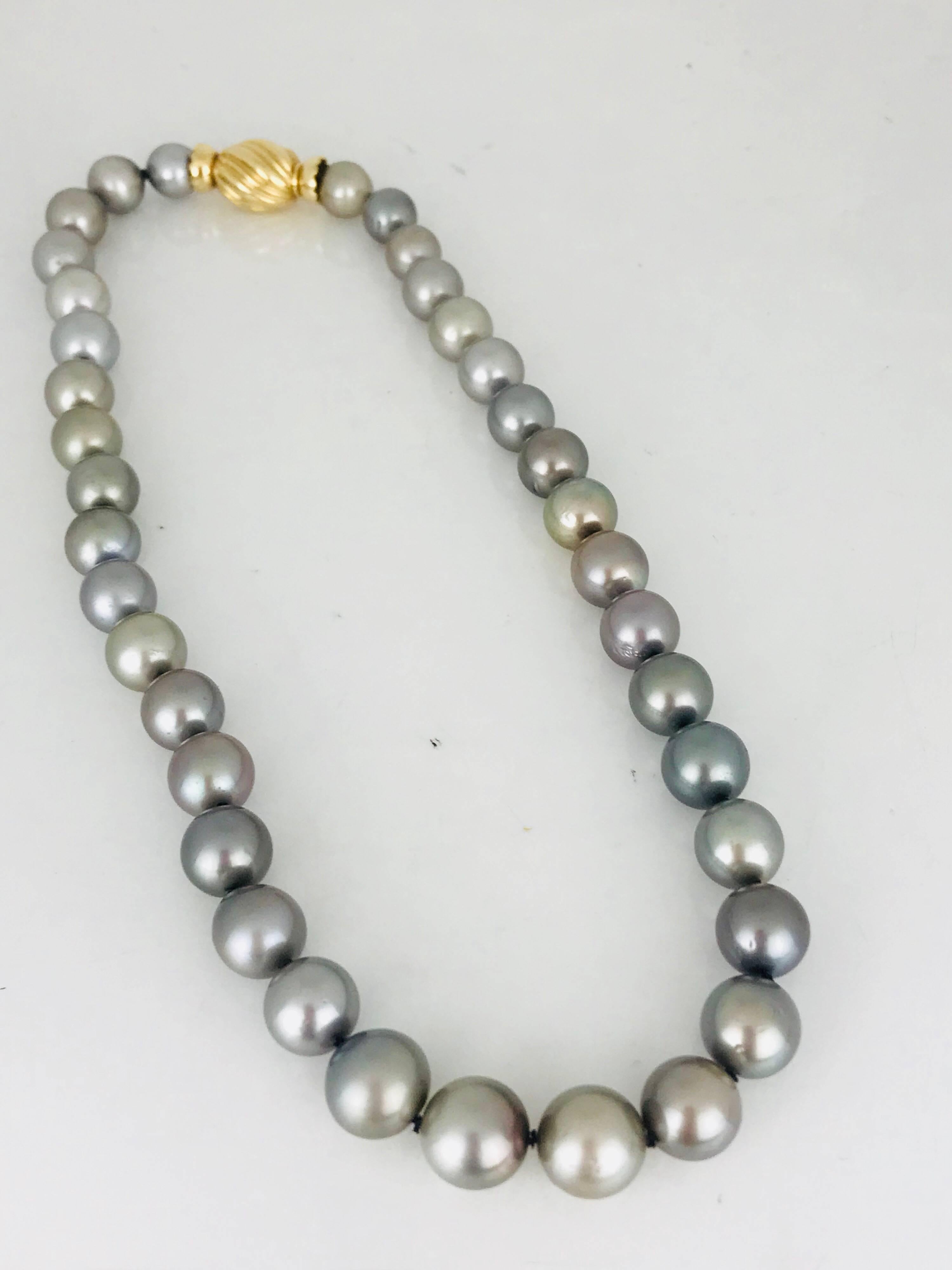 Women's Tahitian Gray Graduated, Contemporary Gold Classic For Sale