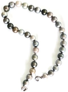 Tahitian Multicolored Gray Pearls with White 18 Karat Gold Adjustable Clasp