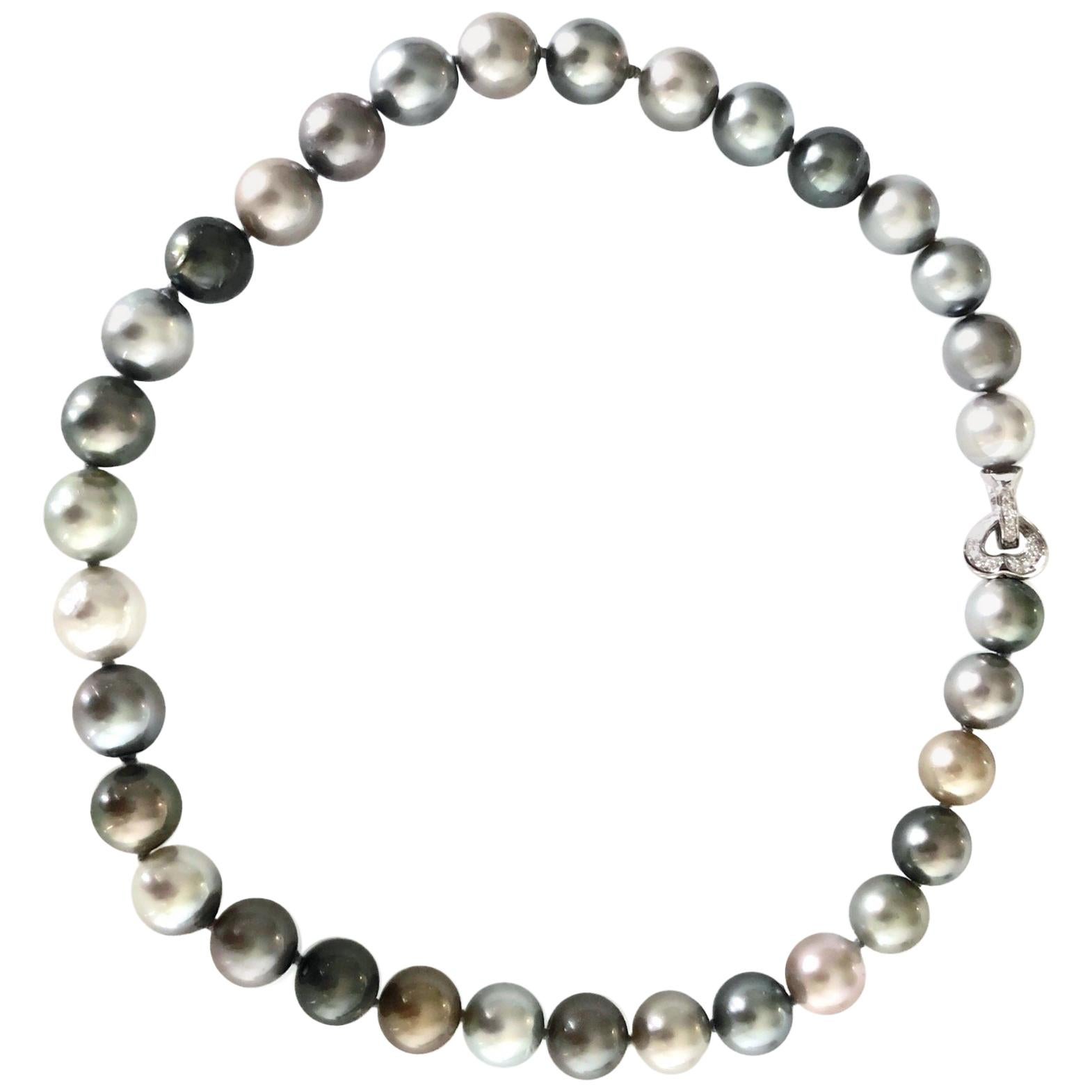 Tahitian Multicolored Gray Pearls with White 18 Karat Gold Adjustable Clasp For Sale