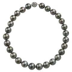 Tahitian Natural Color Cultured South Sea Pearl Necklace