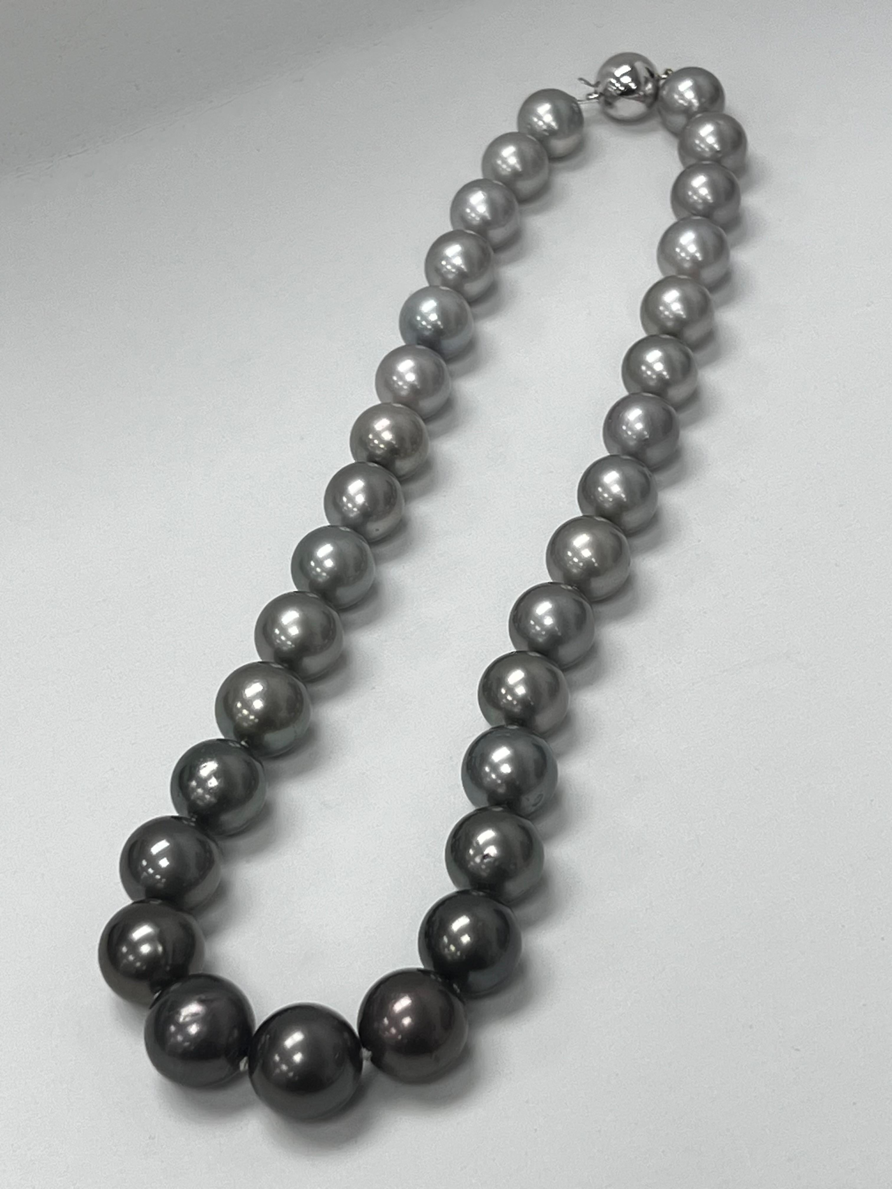Stil und Glamour stehen bei dieser exquisiten Tahitian Ombre Halskette im Vordergrund. Dieses 14-karätige Collier mit rundem Schliff besteht aus 31 Perlen und einem Kugelverschluss aus massivem Weißgold. Die Größe der Perlen beträgt 11,6 - 15 mm.