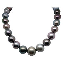 Tahitian Ombre Pearl Necklace 14 Karat White Gold