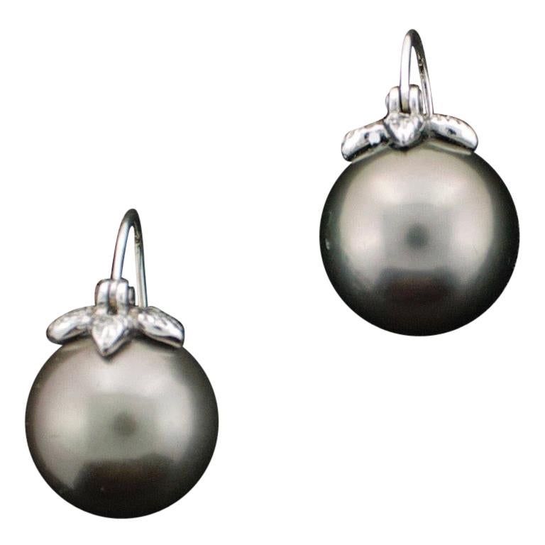 Tahitian Pearl and Diamond Earrings in 18 Karat White Gold For Sale