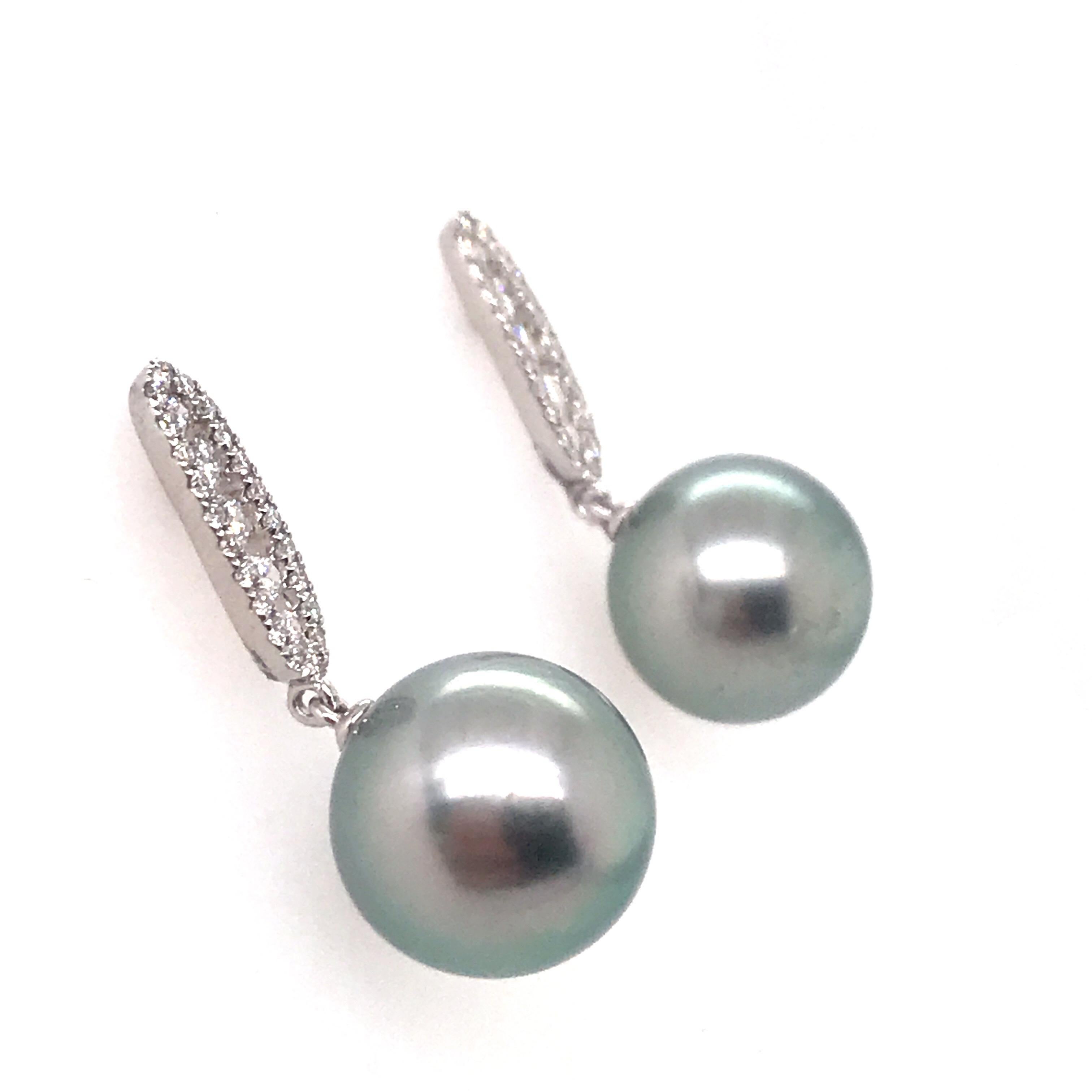 tiffany tahitian pearl earrings