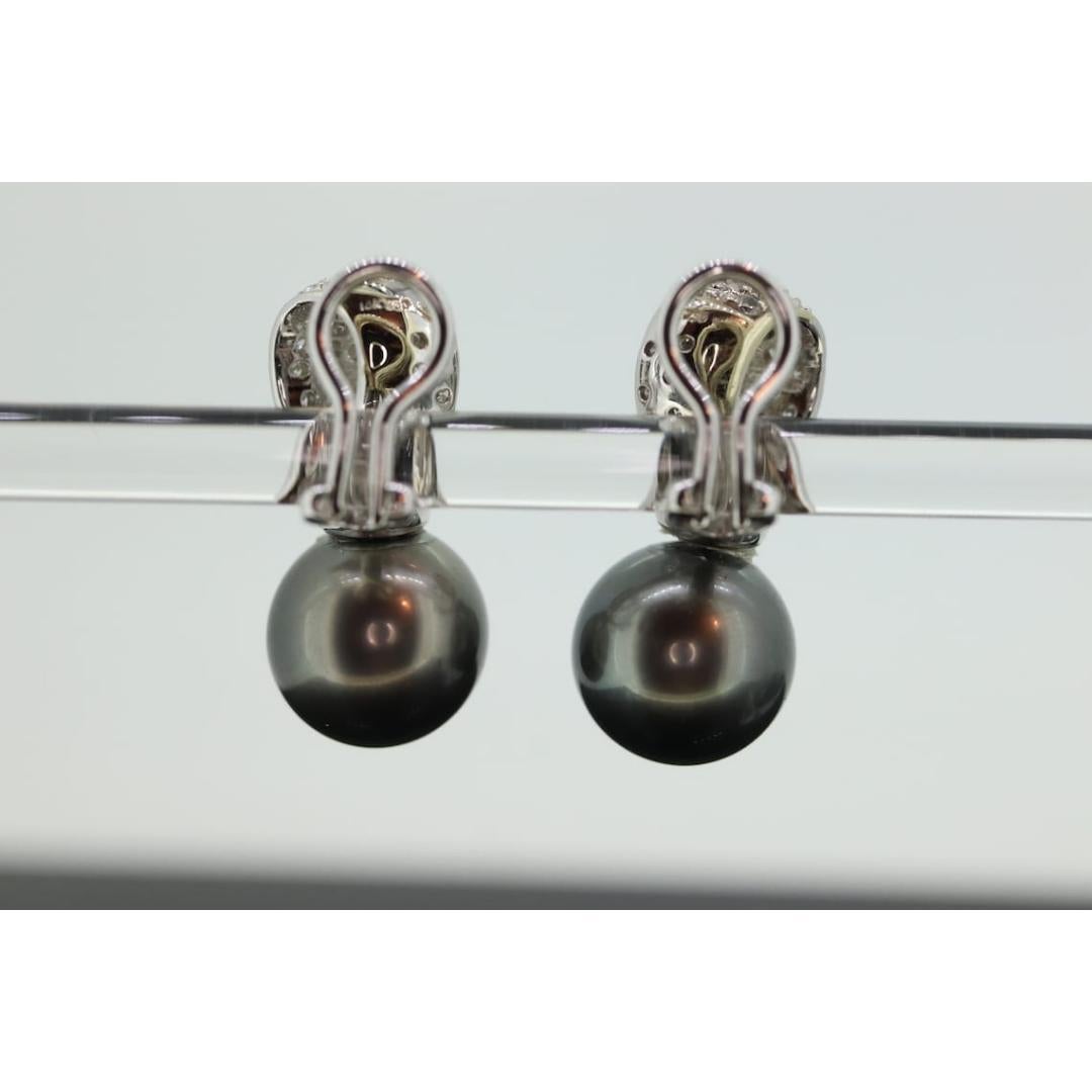 Women's Tahitian Pearl Earrings. 18k Large Black TAHITIAN Pearls With In and Out Pave For Sale