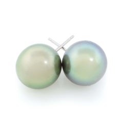 Tahitian Pearl Earrings in 14k White Gold