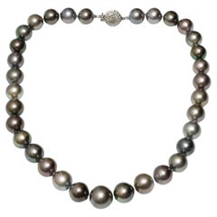Tahitian Pearl Necklace 16 - 12 mm 14k Gold 19" Natural Black with Overtones