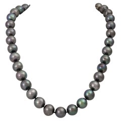 Used Tahitian Pearl Necklace, 37 Cultured Pearls