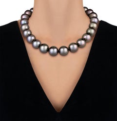 Tahitian Pearl Necklace