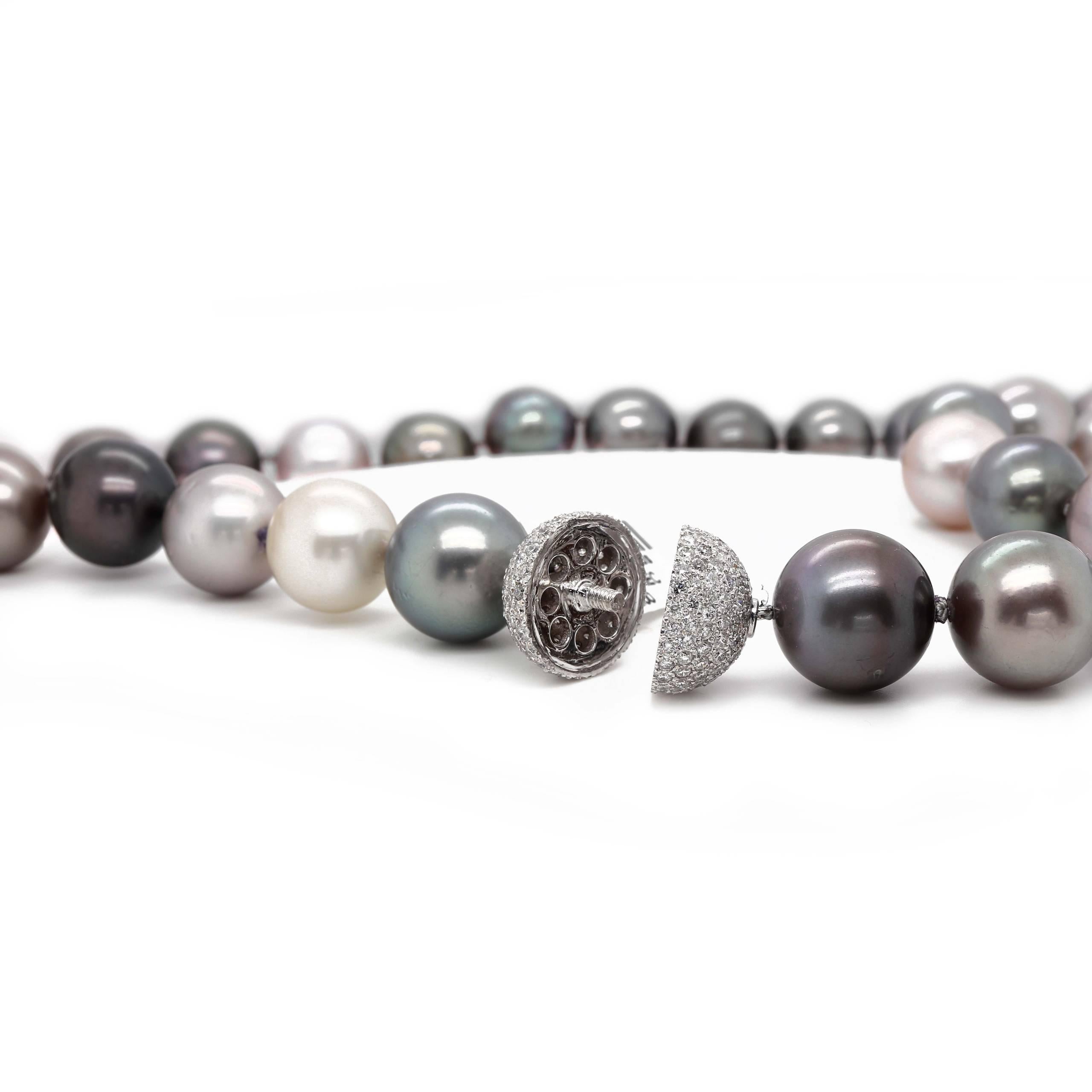 Round Cut Tahitian Pearl Necklace in with an 18k White Gold/ Diamond Clasp For Sale