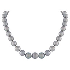 Tahitian Pearl Necklace MF34-022026