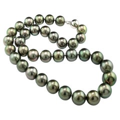 Tahitian pearl Necklace silvery gray peacock hues 11-13.7 mm  white gold clasp