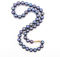Tahitian Pearl Strand Necklace with 14k Yellow Gold Clasp