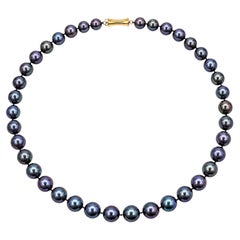 Tahitian Pearl Strand Necklace with 14k Yellow Gold Clasp