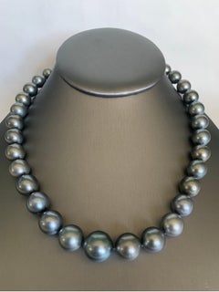Tahitian Pearl Strand Necklace with White Gold Clasp
