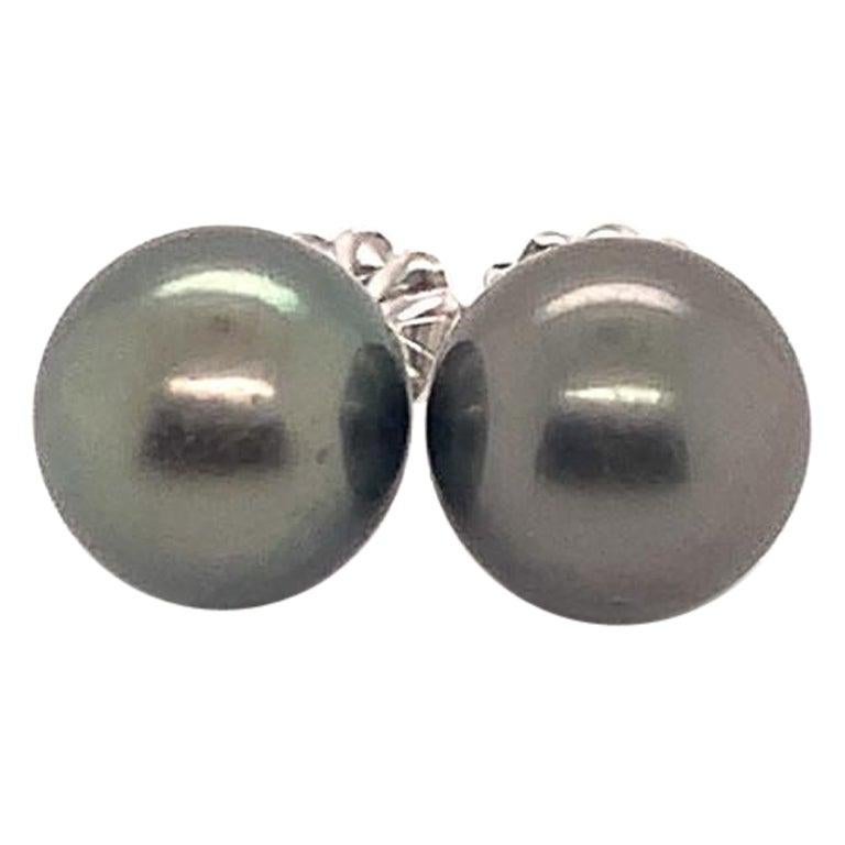 Tahitian Pearl Stud Earrings 14k Gold 9.85 mm Certified