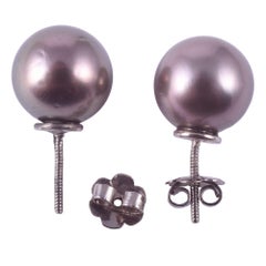 Tahitian Pearl Stud Earrings