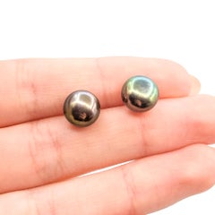 Tahitian Pearl Stud Earrings in 14k Yellow Gold