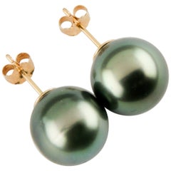 Tahitian Pearl Stud Earrings with Pearls Set in 14 Karat Yellow Gold