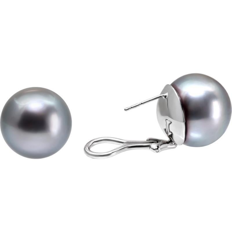 Women's Tahitian Pearl White Gold Earrings