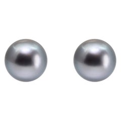 Tahitian Pearl White Gold Earrings