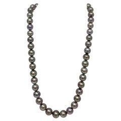 Tahitian Silver Lavender Near-Round Pearl Necklace with Gold Clasp