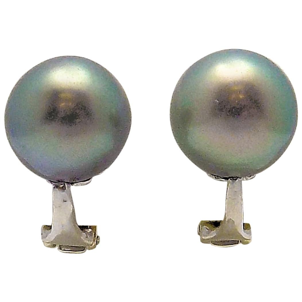 Tahitian South Sea Cultured Pearl Clip Earrings For Sale
