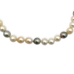 Tahitian South Sea Multi Color Pearl Necklace '#J4414'
