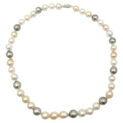 Tahitian South Sea Multi Color Pearl Necklace '#J4414'