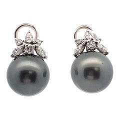 Tahitian South Sea Pearl Earrings with Diamonds in 14K White Gold