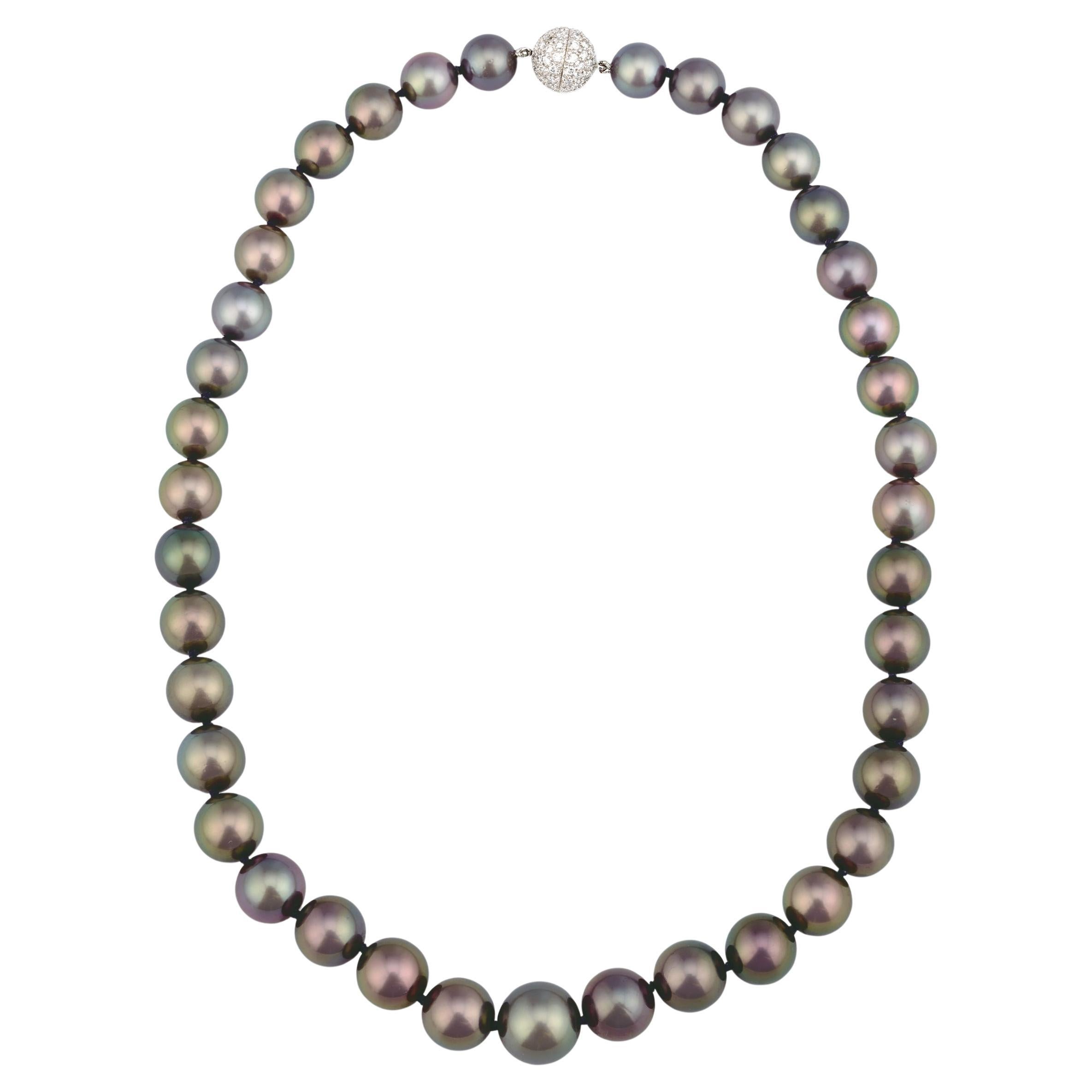 Tahitian South Sea Pearl Necklace
