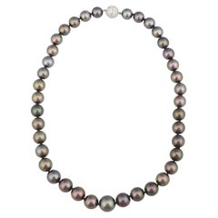Tahitian South Sea Pearl Necklace