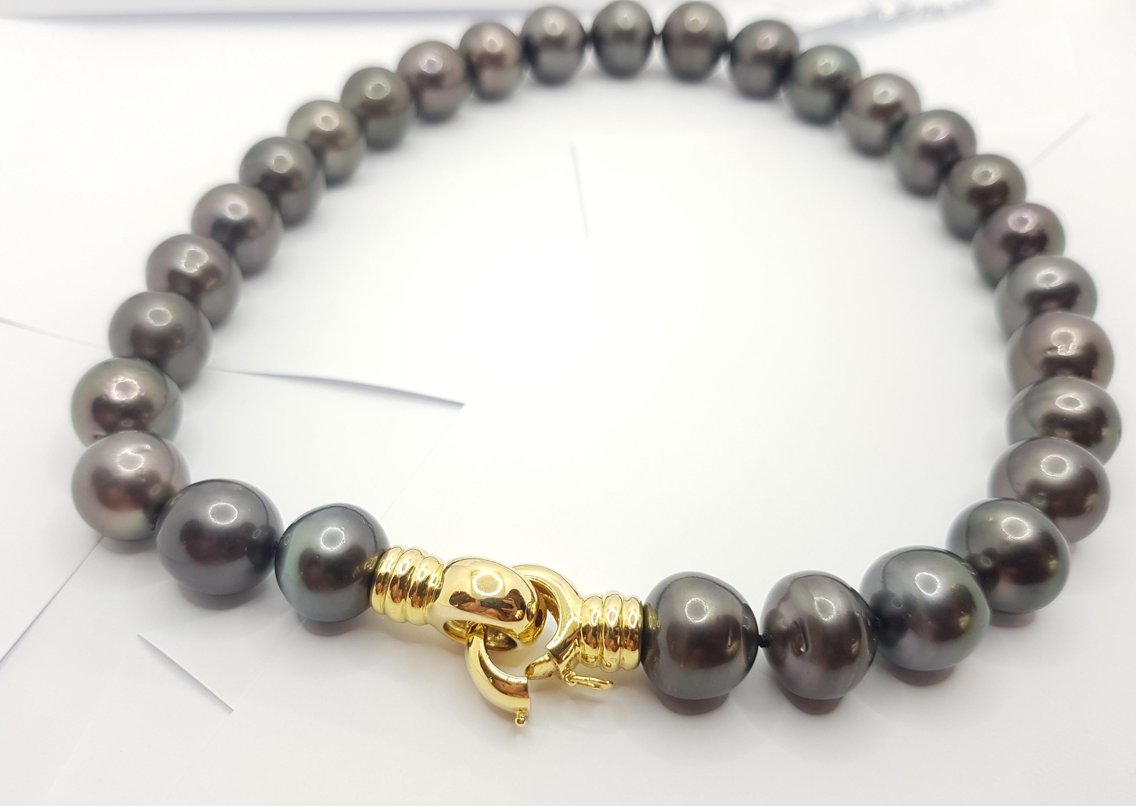 Tahitian South Sea Pearl with 18 Karat Gold Clasp For Sale 1