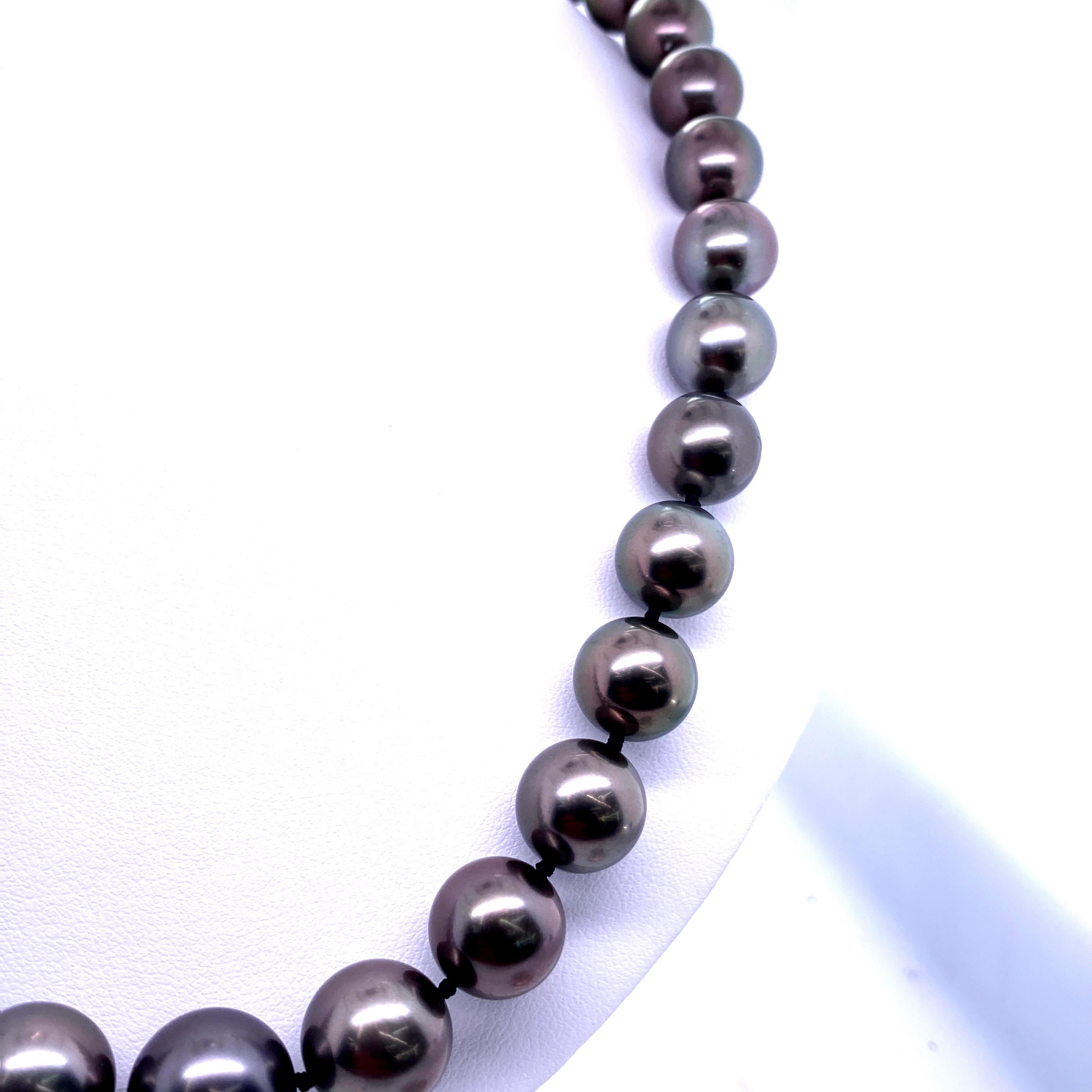 pearl necklace strain