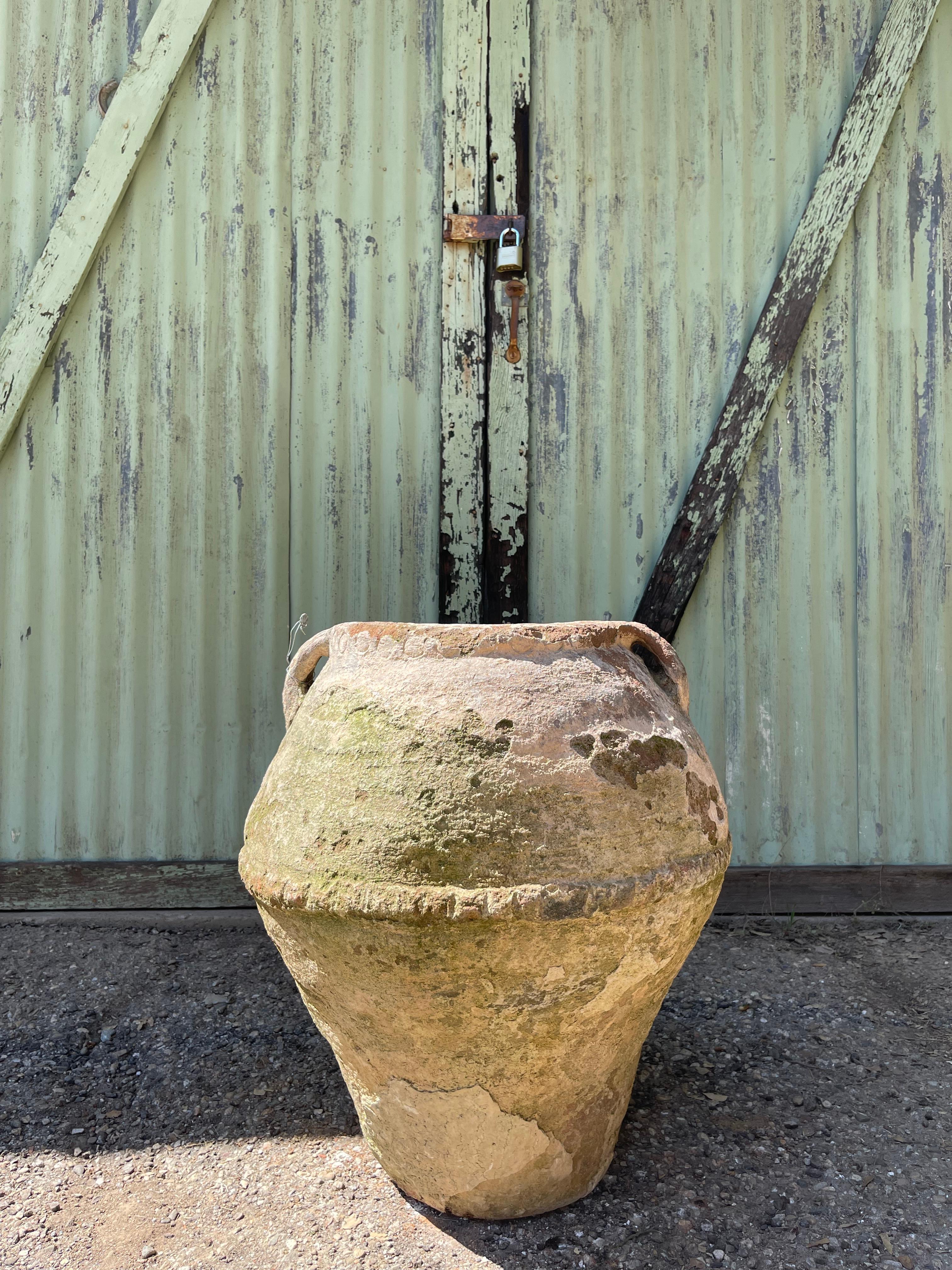 Greco-romano Tahıl Küpü (vaso di grano turco - medio) in vendita