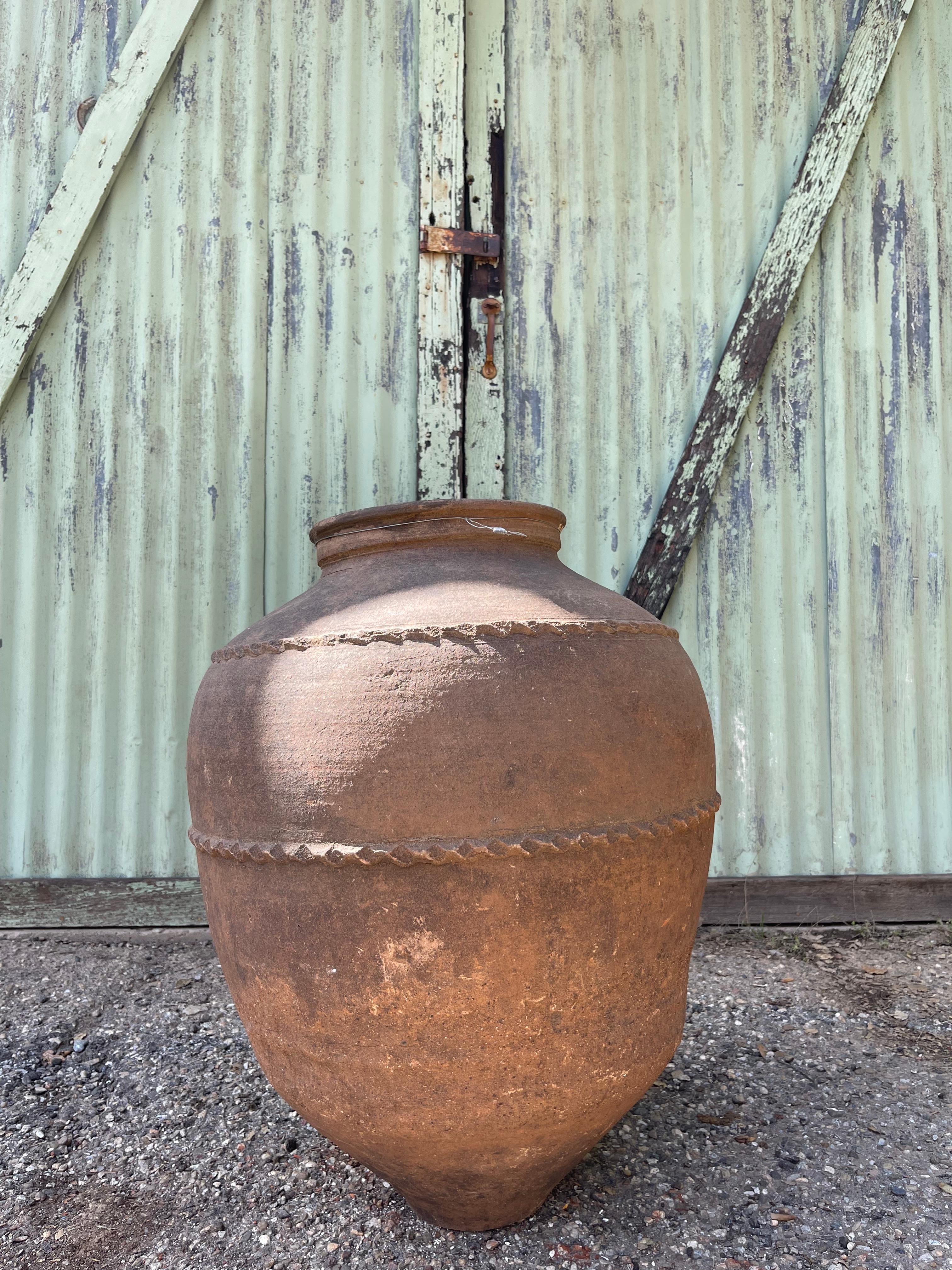 Greco-romano Tahıl Küpü (vaso di grano turco - medio) in vendita